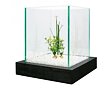 Zolux Aquarium Aqua Bamboo Cube