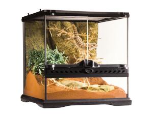 Hagen Exo Terra Glas Terrarium mit Rückwand 30x30x30cm