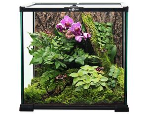 REPTI PLANET Glas Terrarium ohne Rückwand 20 x 20 x 20 cm