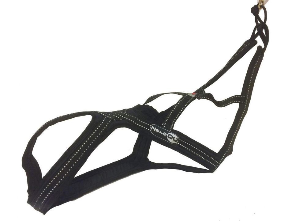 Dehnbar Harness CROSS DC schwarz