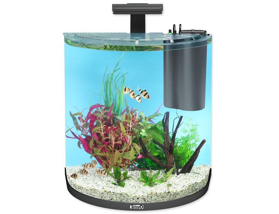 Tetra AquaArt Explorer Line Halfmoon 60l